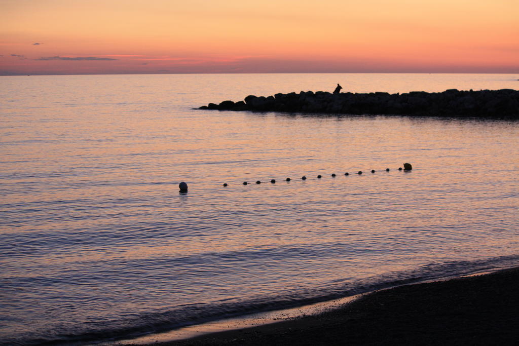 Lungomare Hotel Marina di Cecina Εξωτερικό φωτογραφία